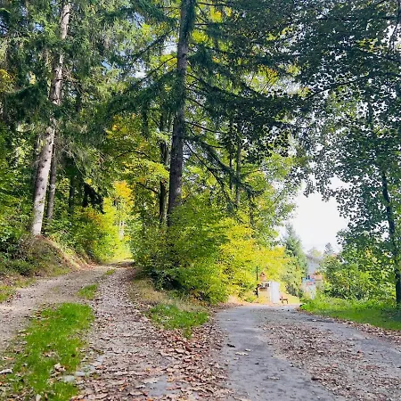 Traum Am Berg Apartamento Zwiesel