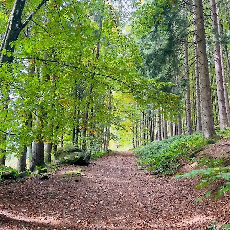 Traum Am Berg *