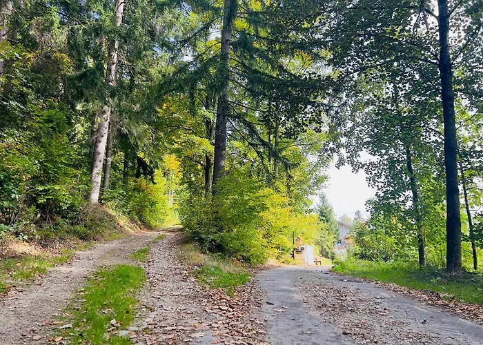 Traum Am Berg Апартаменты Цвизель